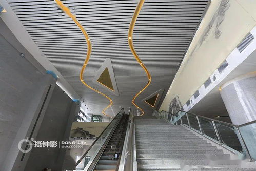 蒼南高鐵站充電樁銷售現(xiàn)場紀(jì)實 機動車充電新趨勢初現(xiàn)